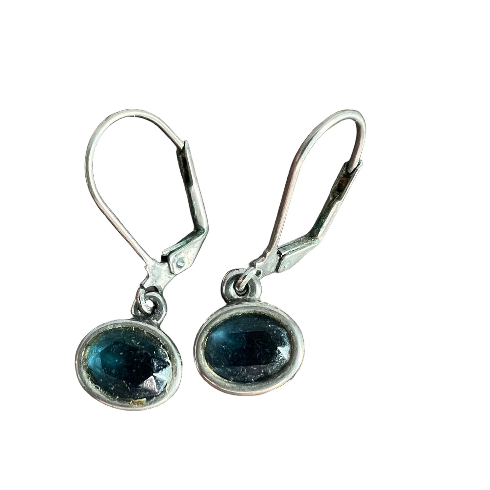 🍭6/$30 Blue jewel hinged dangle drop earrings